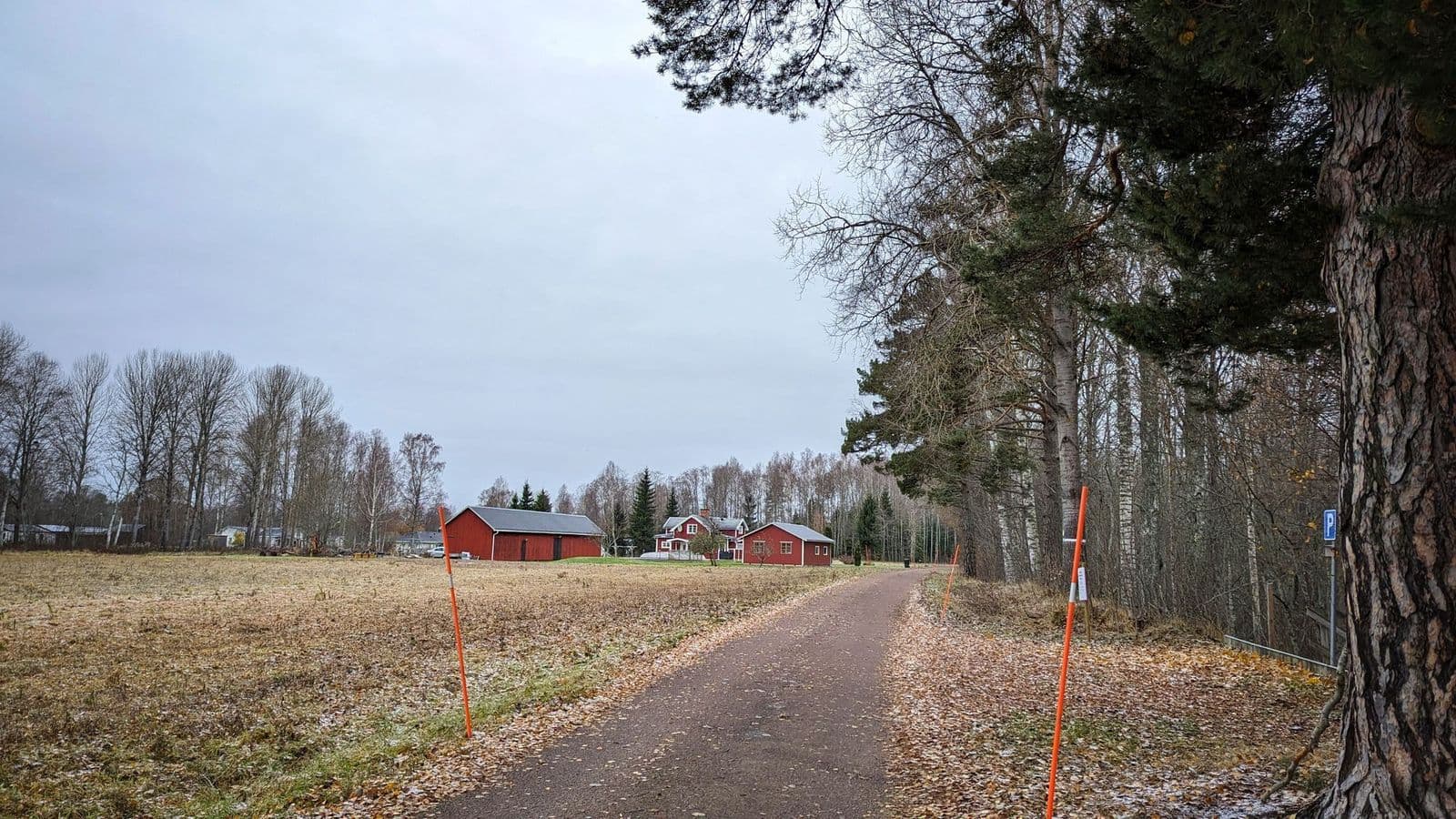 Road down to the nature reserve